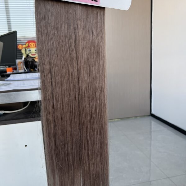 #170 Color Genius Weft Hair Extension Raw Hair