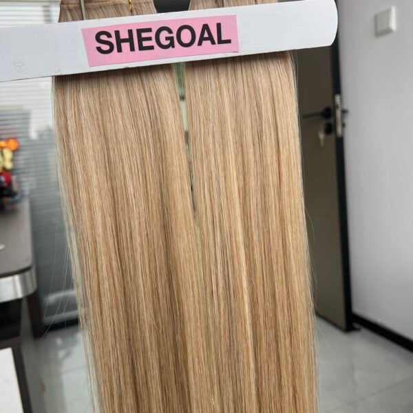 M#6/#60/#1001 Color Genius Weft Premium Hair Extensions - 100% Virgin Raw Human Hair Weft